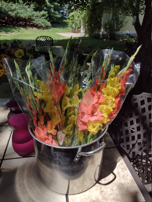 Gladiola bouquets